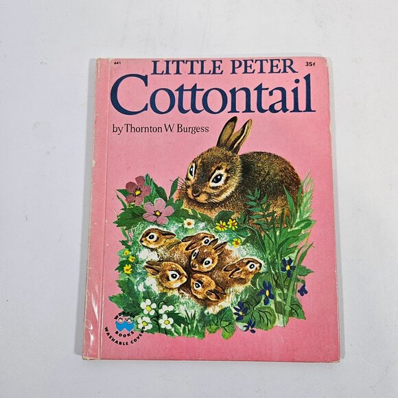 Vintage Wonder Books Lot of 8 Henny Penny Black Beauty Peter Cottontail 1950s - Picture 6 of 16